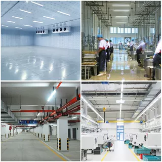 Customizable LED Tri-Proof Light – Waterproof, Dustproof & Corrosion-Resistant
