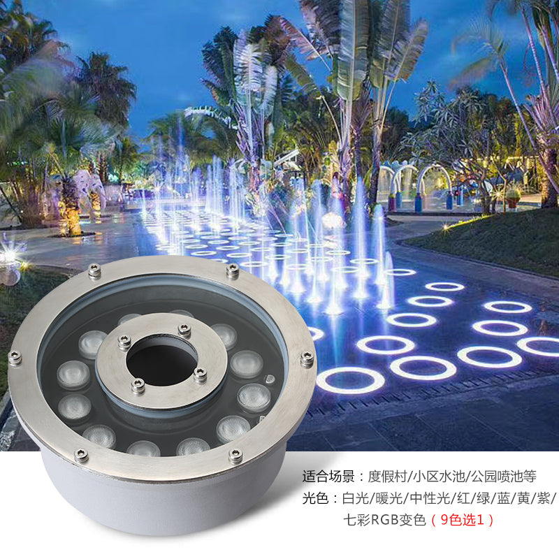 Custom LED Fountain Light for Landscape & Water Feature Projects