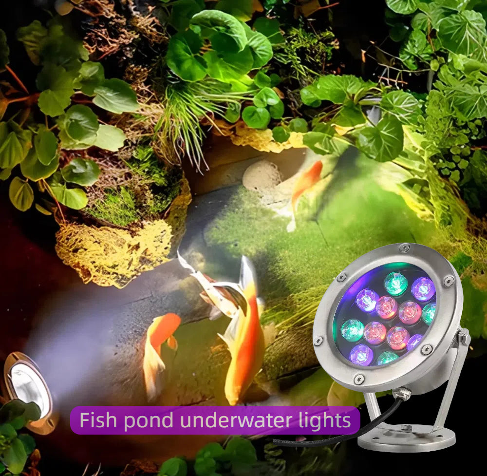 Heavy-Duty LED Underwater Light | IP68 for Landscape & Architectural Projects