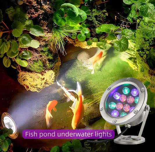 Heavy-Duty LED Underwater Light | IP68 for Landscape & Architectural Projects